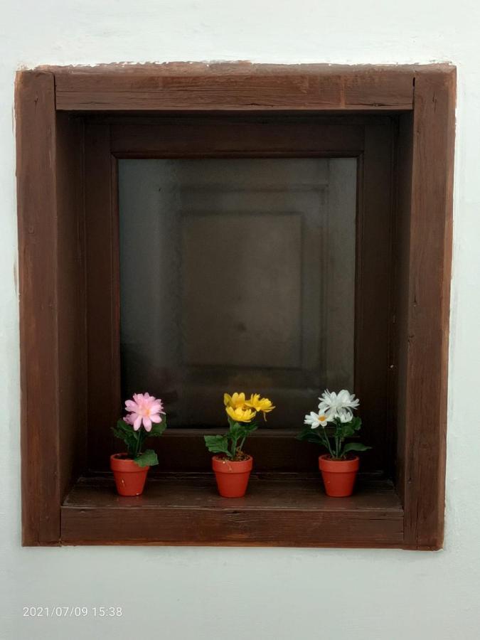 Florhouse Pacini Lägenhet CTA Exteriör bild