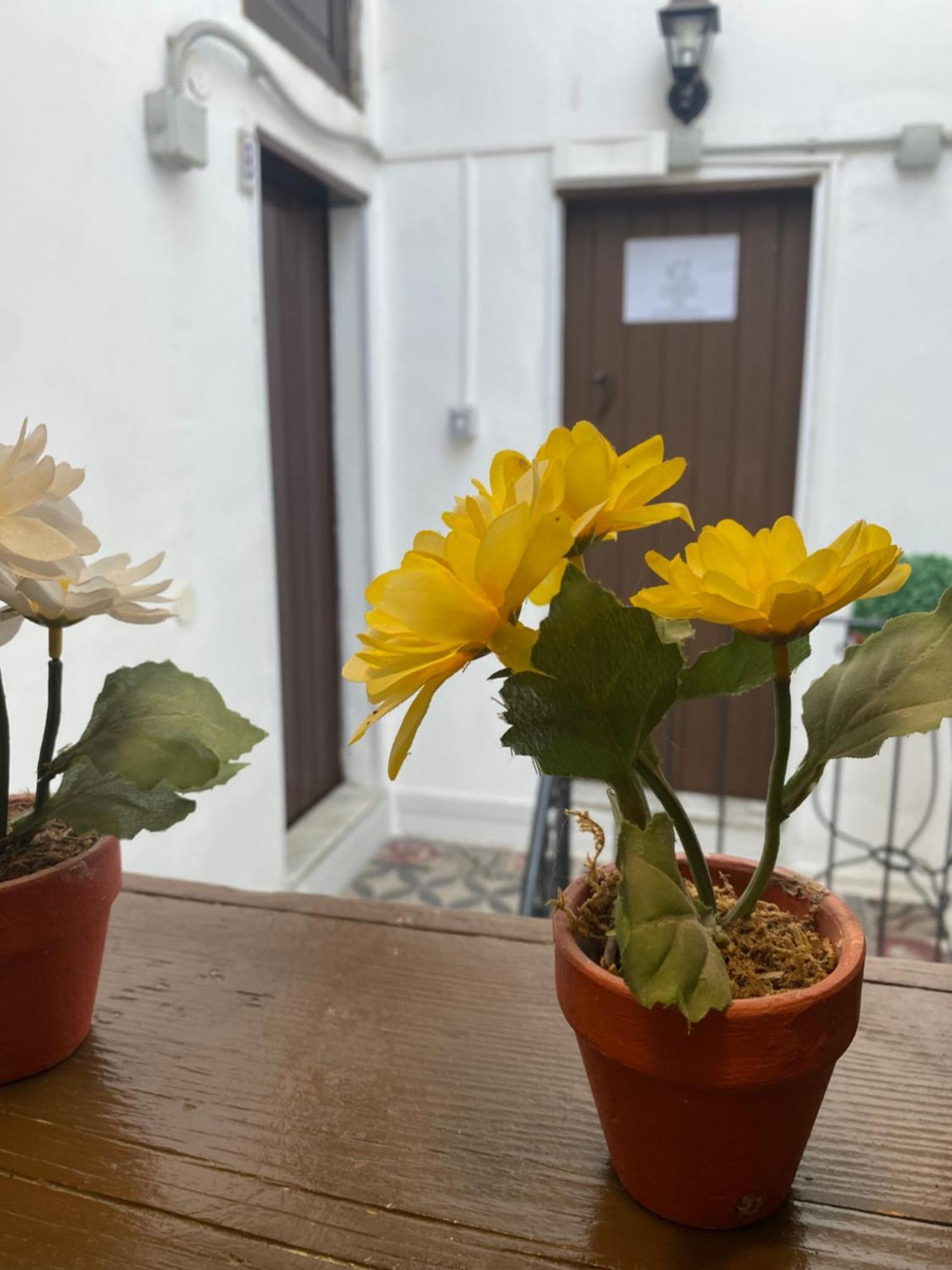 Florhouse Pacini Lägenhet CTA Exteriör bild